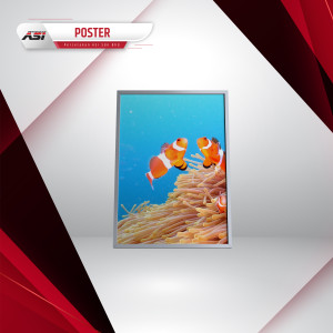 Poster(DP)